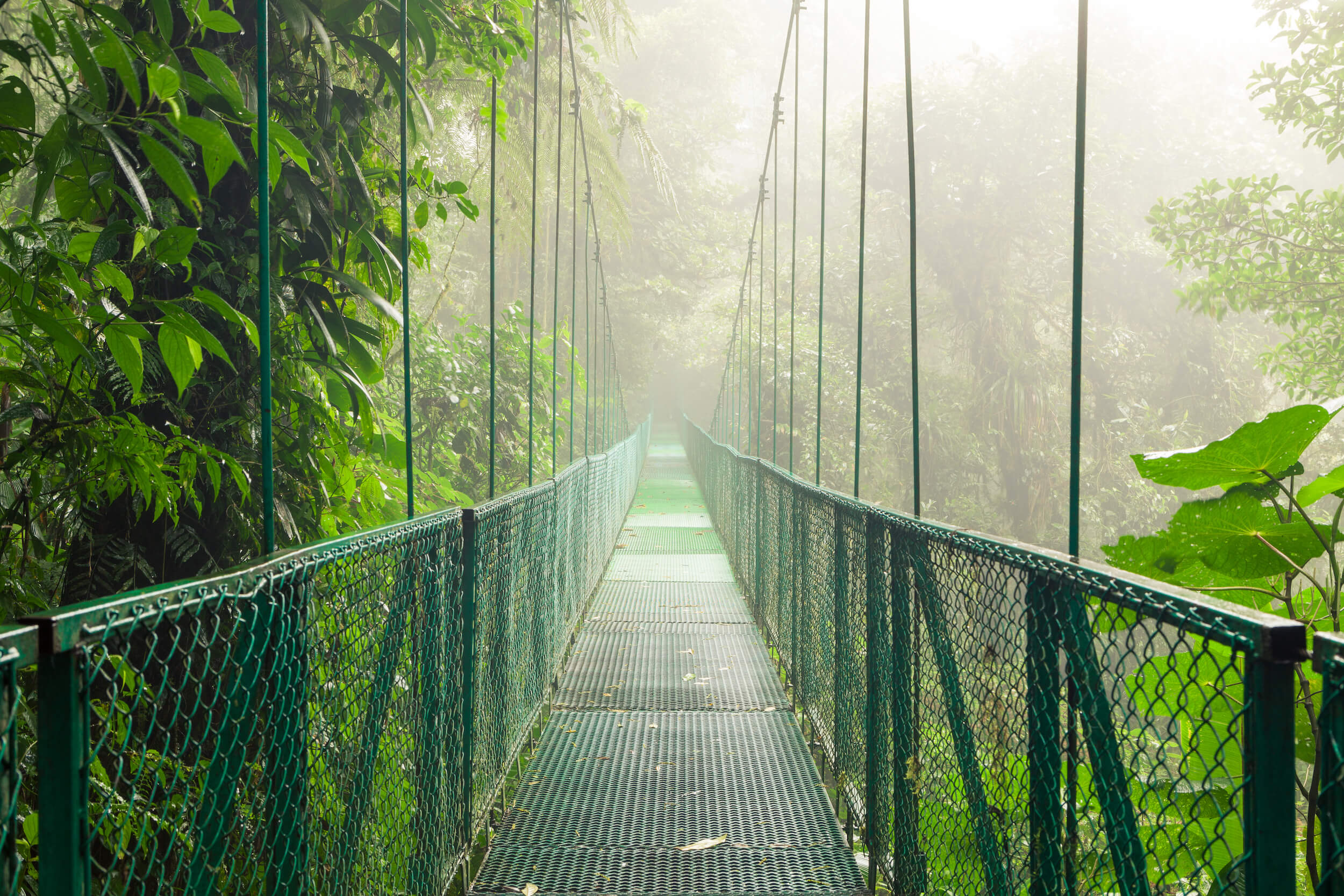 Skywalk in Costa Rica.