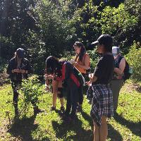 A group of students participates in a fieldwork project in Costa Rica,