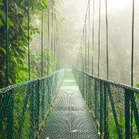 The Skywalk in Costa Rica is pictured (a suspended bridge supported by cables) in the jungle. 