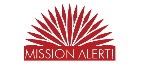 emergency alert logo