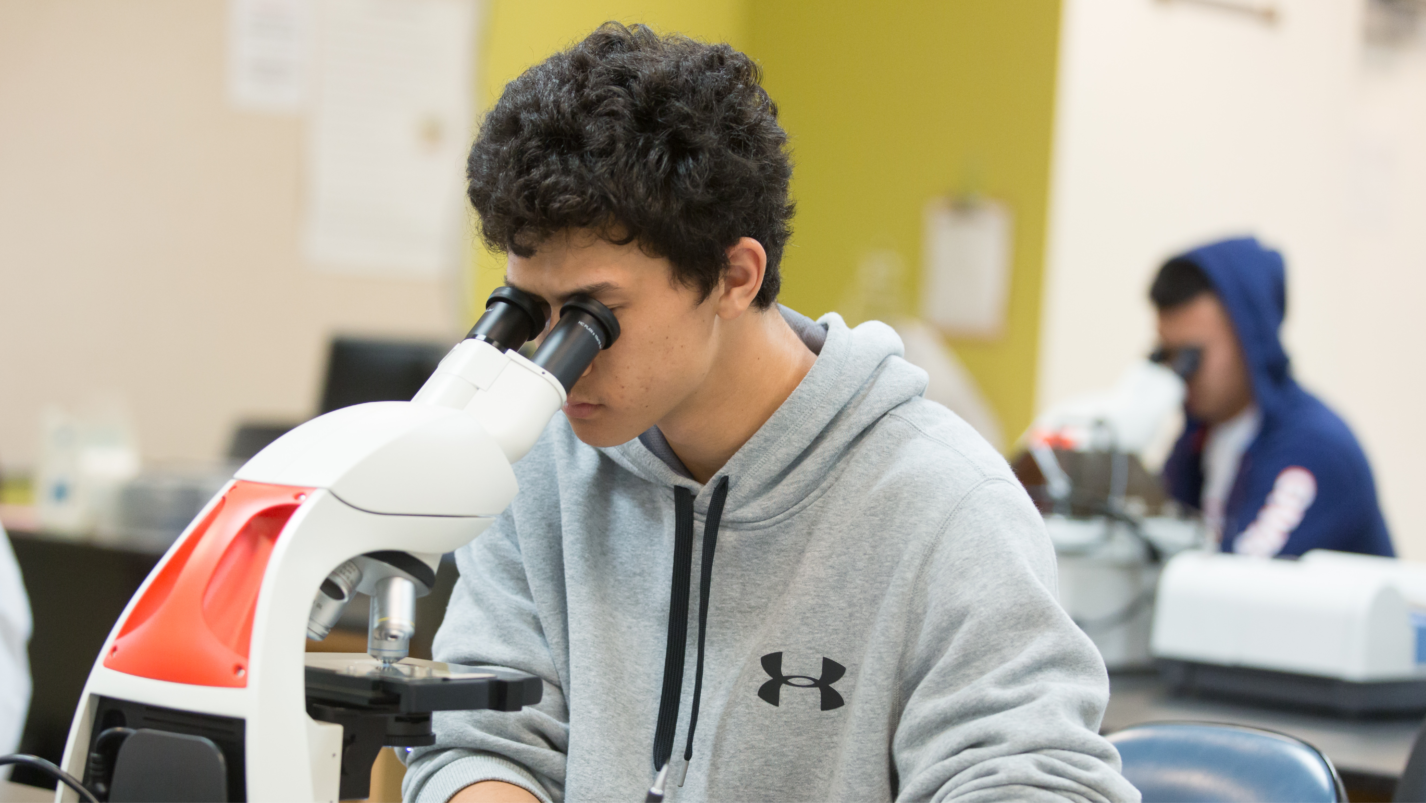 A male student wearing a grey hoodie looking attentively through the eyepieces of a compound laboratory microscope.