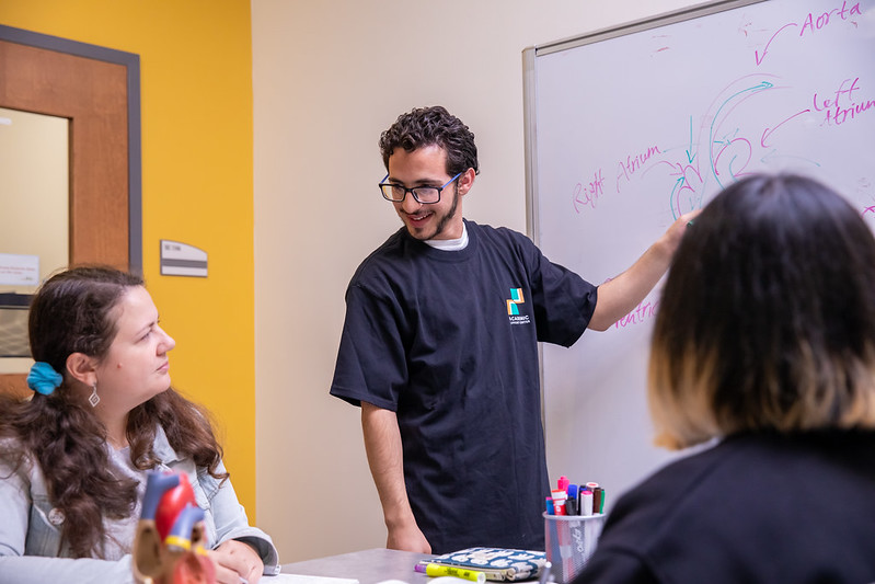 Students learning