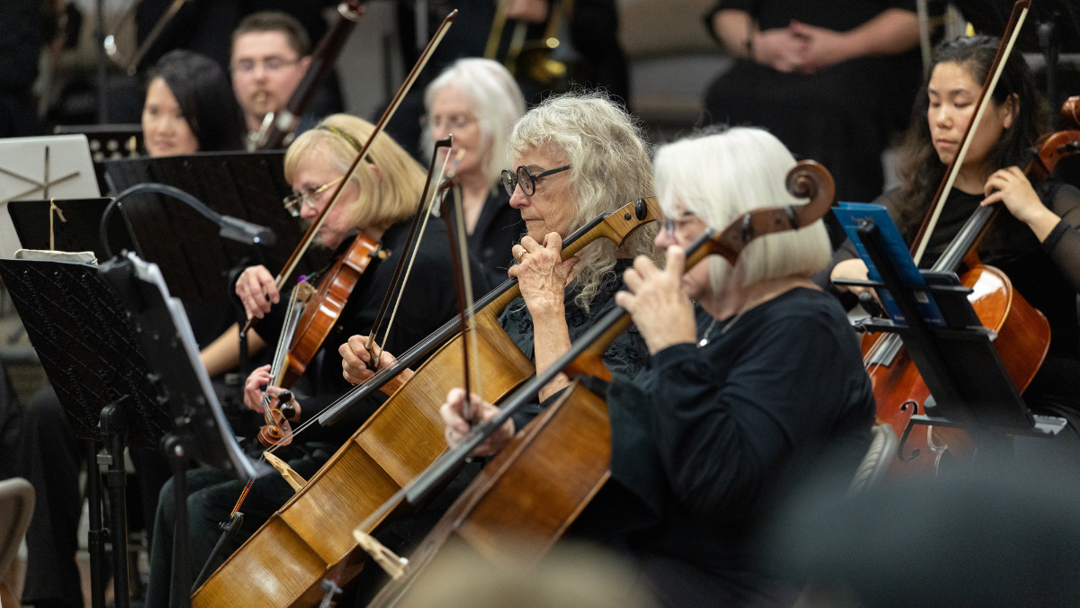 Symphony concert performance