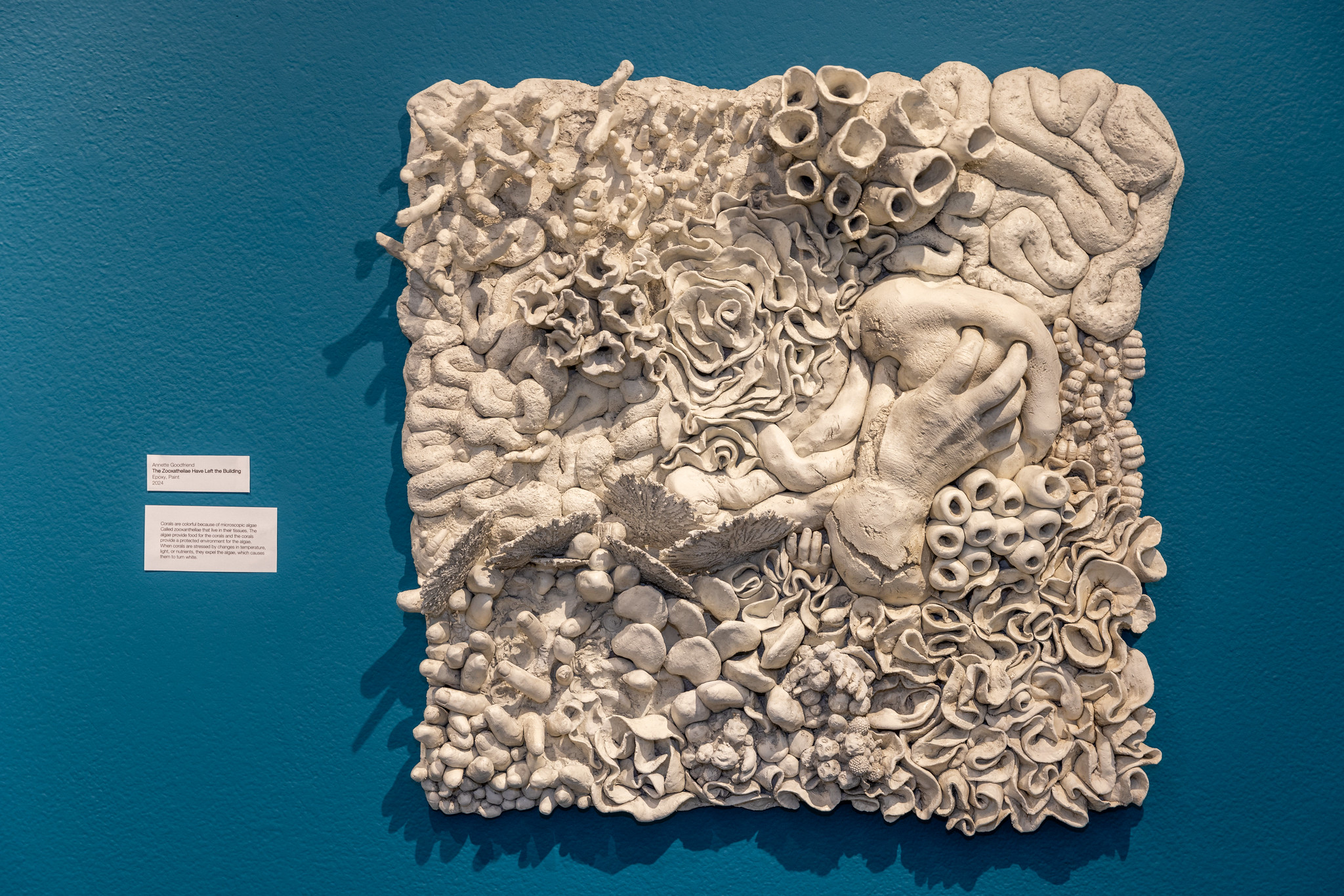 Art exhibit