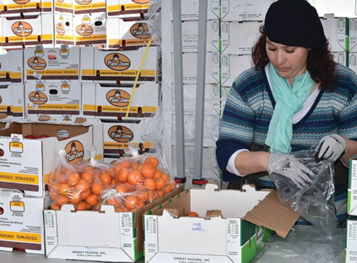 A woman in a light blue scarf and black hair is distributing oranges. "Second Harvest Food Bank" is writen in white text across a teal strip of color on the bottom of the image.