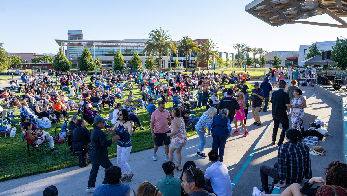 Crowd at outdoor concert
