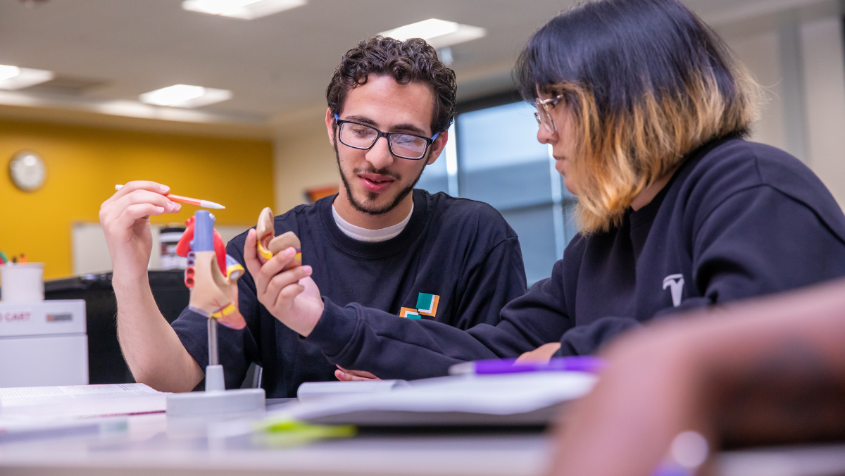 Academic support center tutor working with student