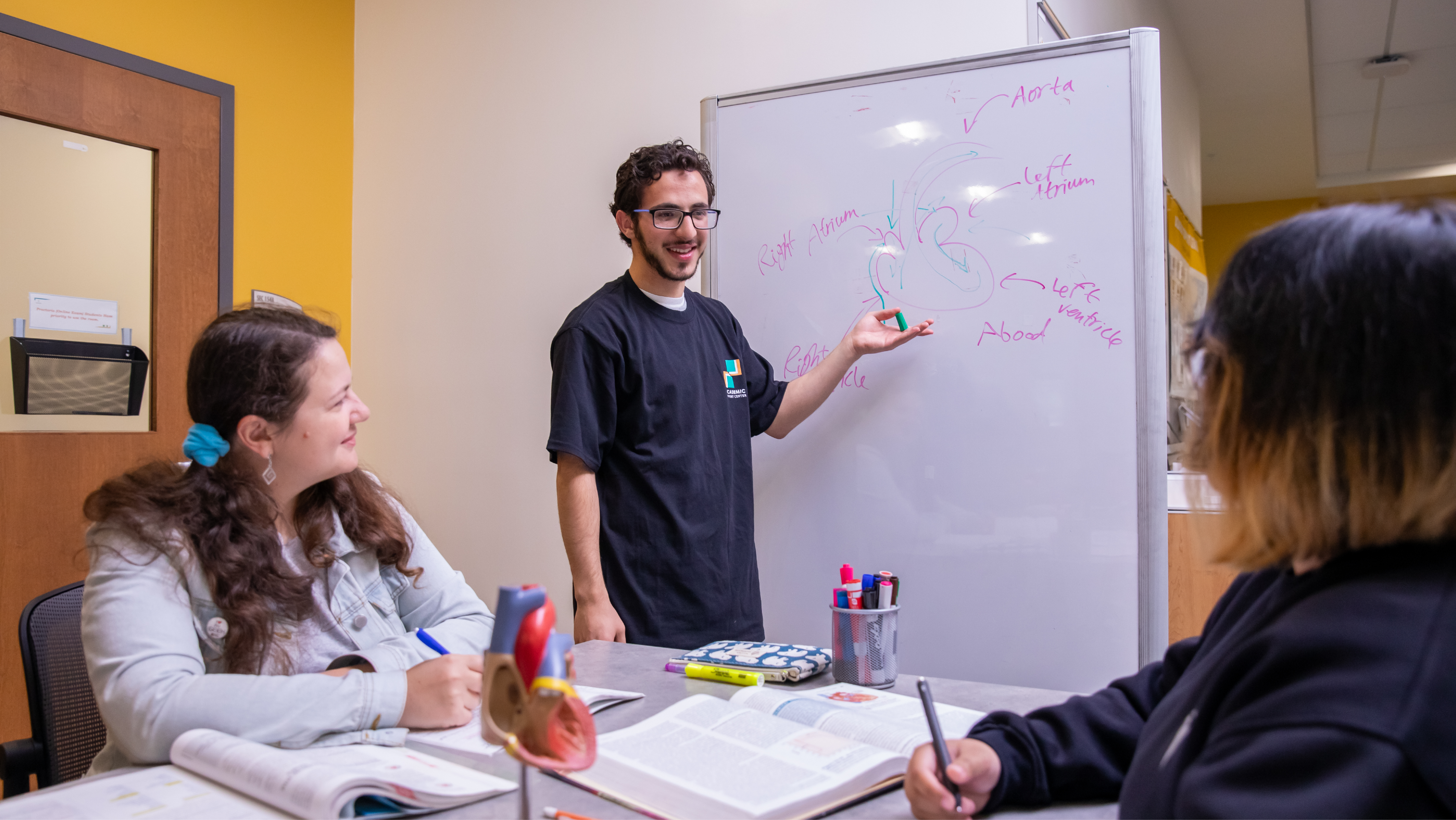 A young man wearing glasses and an Academic Support Center t-shirt presenting an anatomical diagram of a human heart on a whiteboard to two seated students.